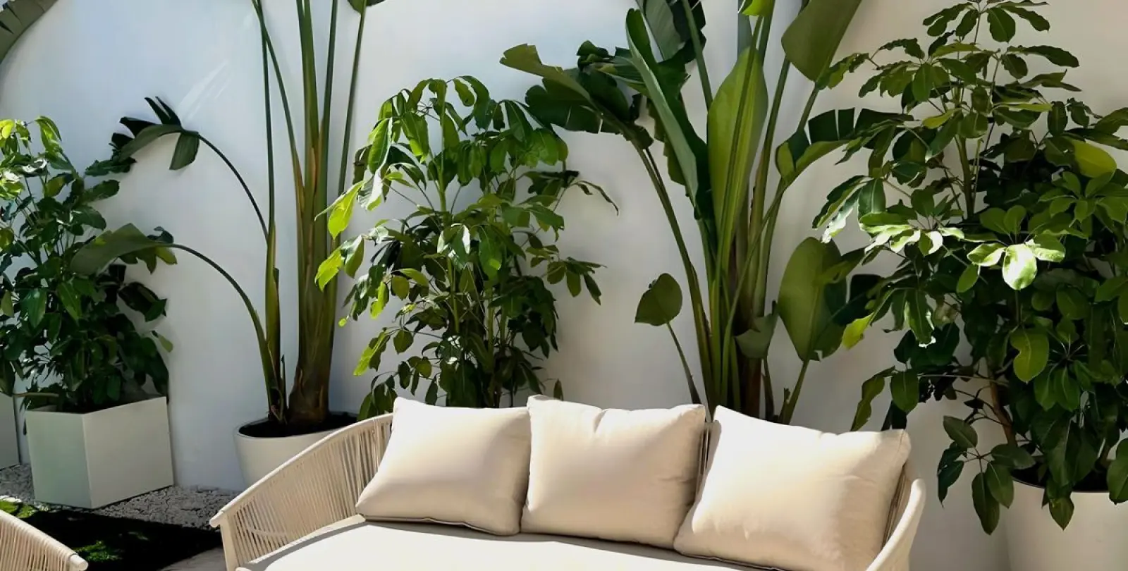 Sale of ground floor apartment in Nueva Andalucía 2