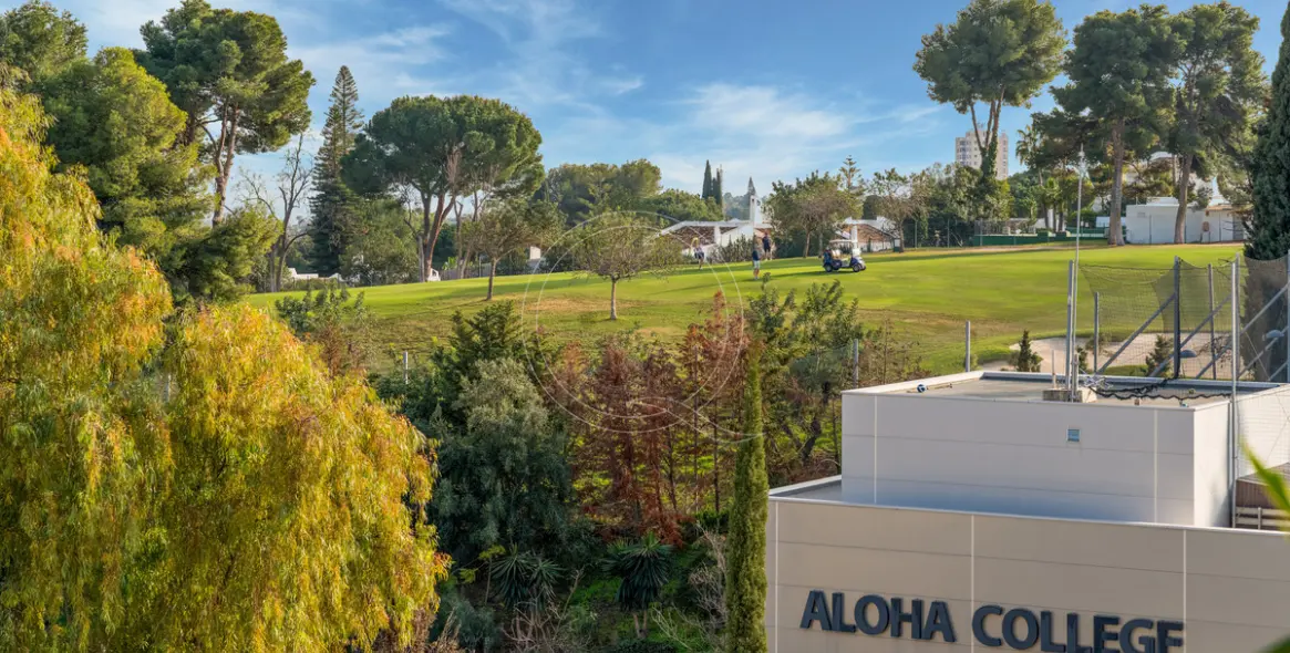 Sale of townhouse in Marbella 22