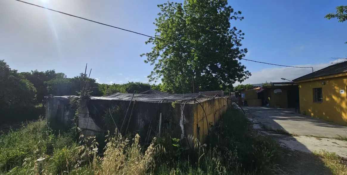 Продажа фермы в San Martín de Tesorillo 1