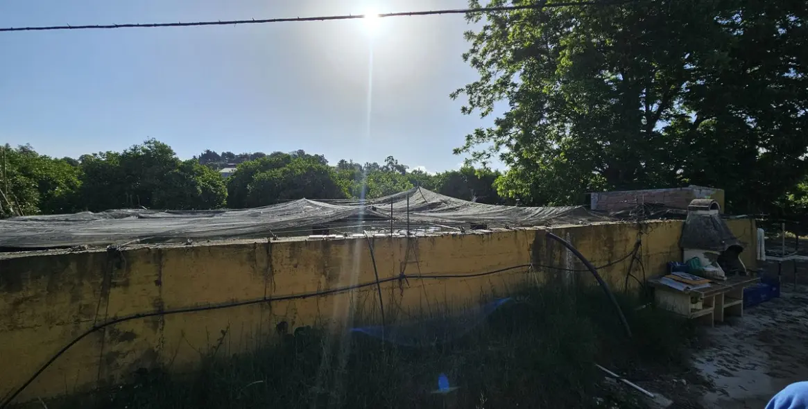 Продажа фермы в San Martín de Tesorillo 5