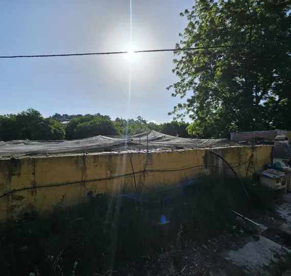 Venta de granja en San Martín de Tesorillo