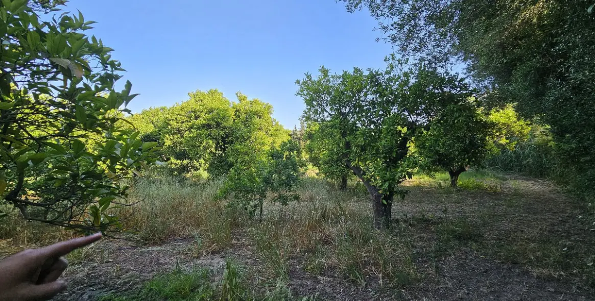 Продажа фермы в San Martín de Tesorillo 8