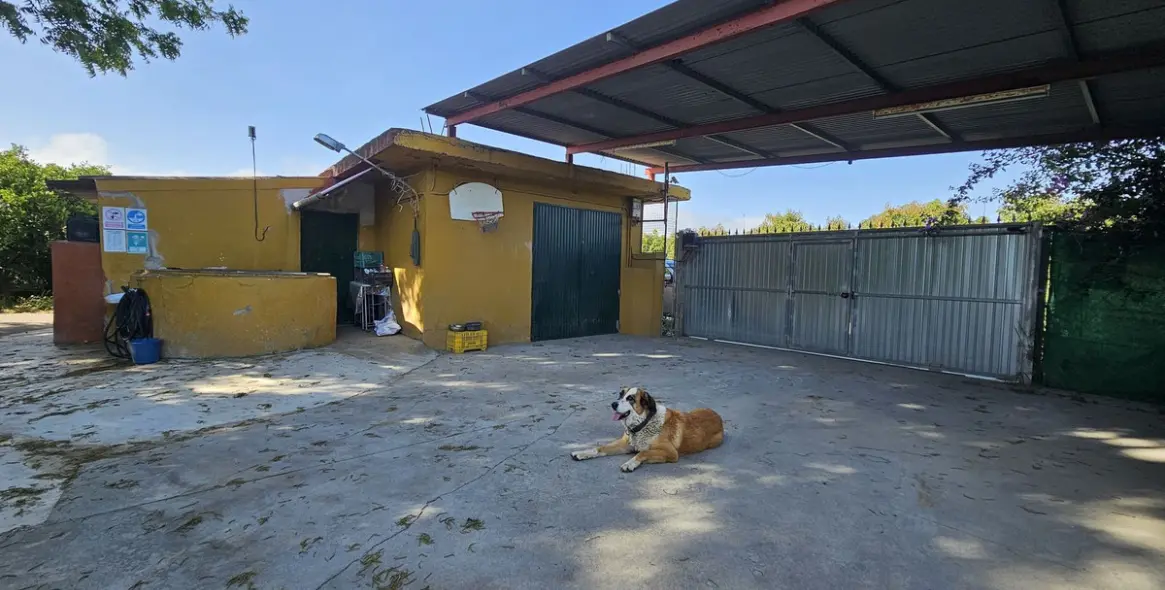 Продажа фермы в San Martín de Tesorillo 13