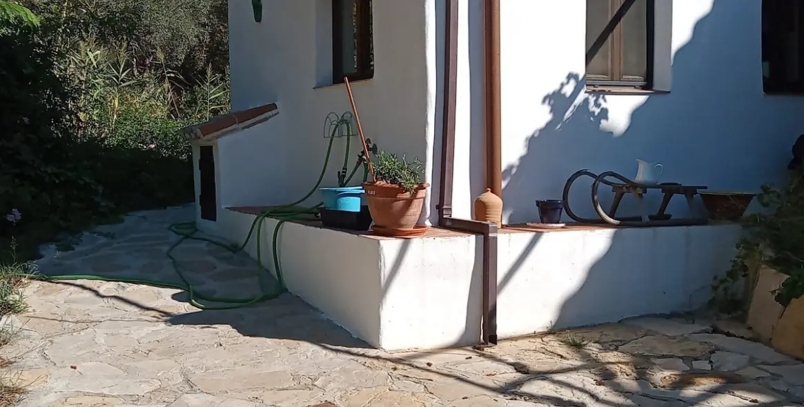 Venta de finca - cortijo en Casares 3