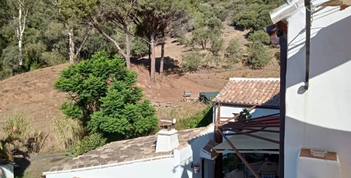 Venta de finca - cortijo en Casares 6