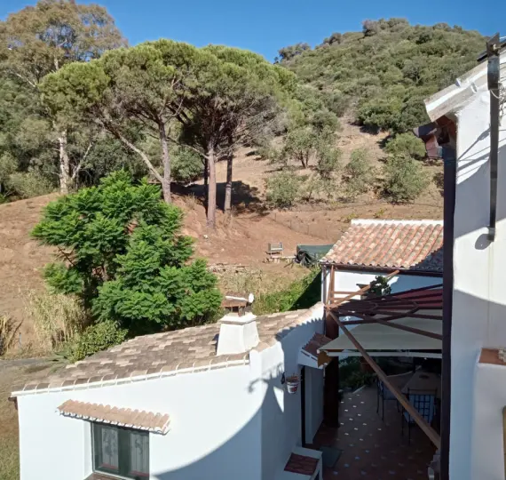 Venta de finca - cortijo en Casares