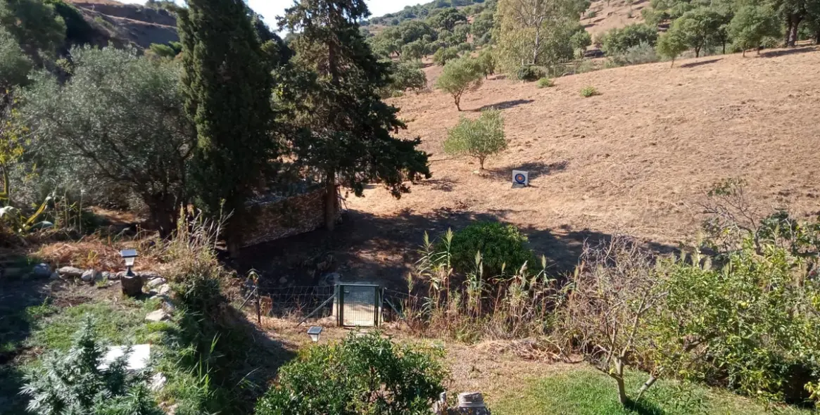 Venta de finca - cortijo en Casares 11