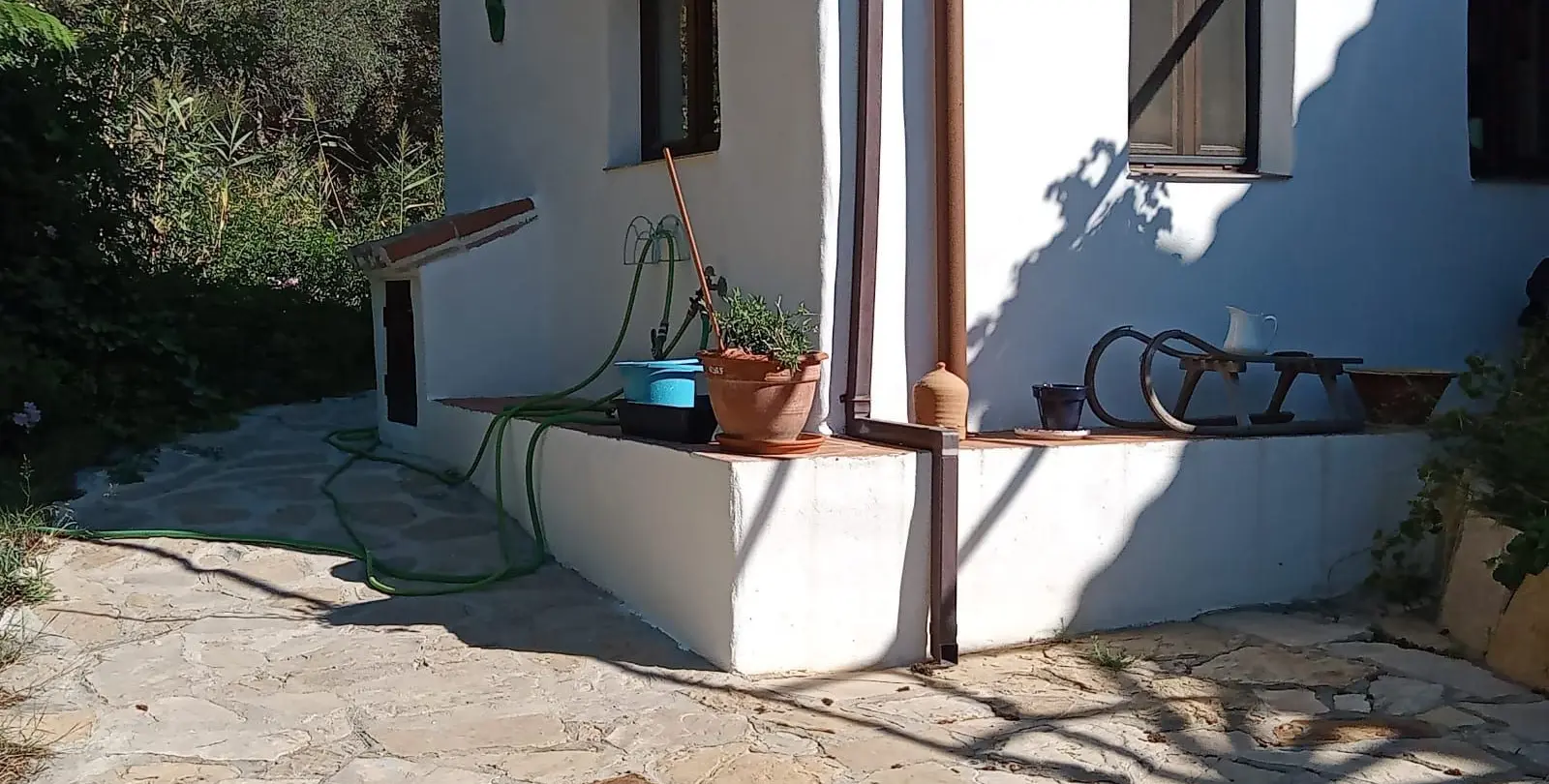 Sale of finca - cortijo in Casares 3