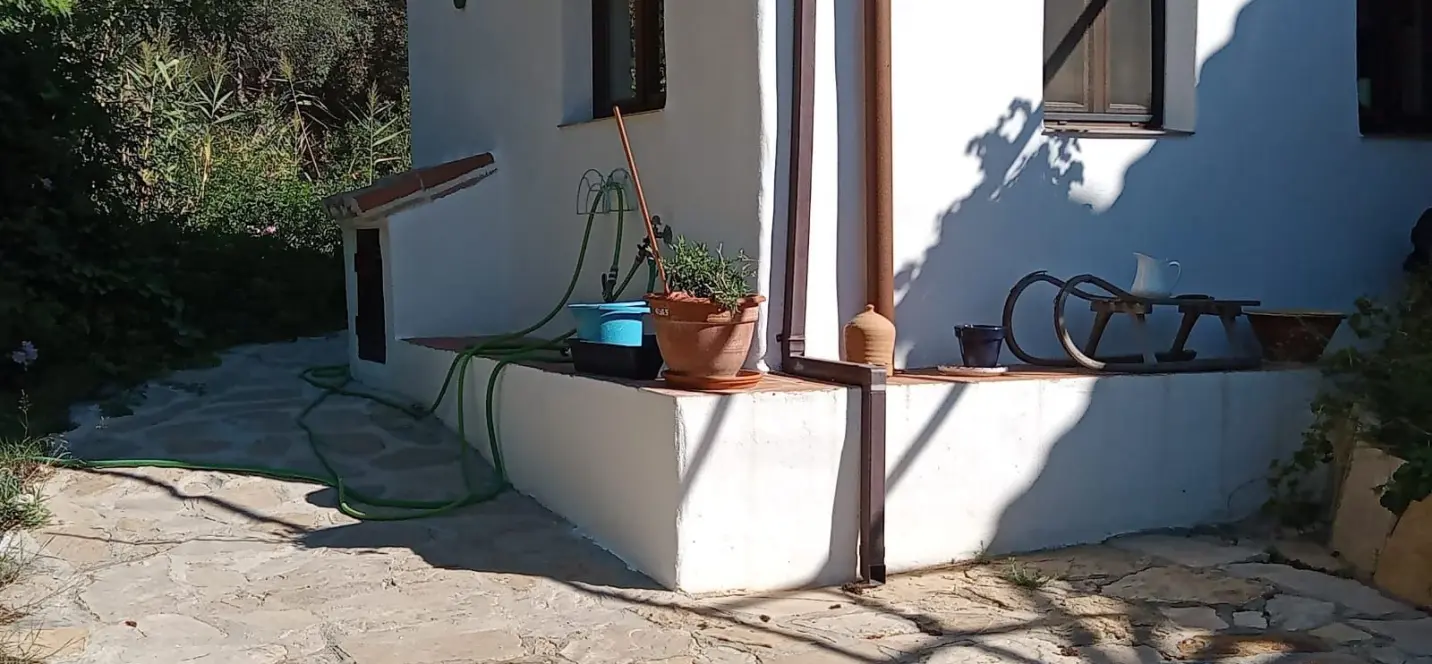 Sale of finca - cortijo in Casares 2