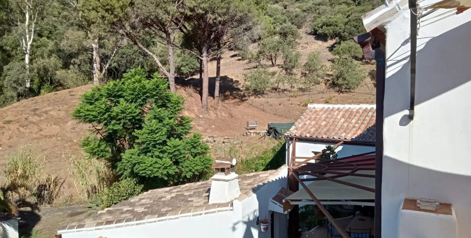 Sale of finca - cortijo in Casares 6
