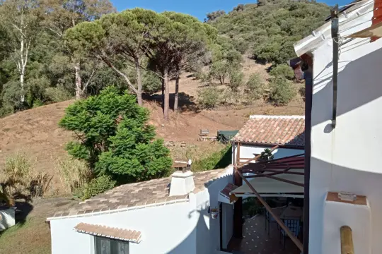 Image 6 thumb