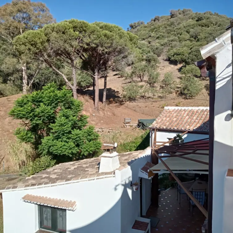Sale of finca - cortijo in Casares