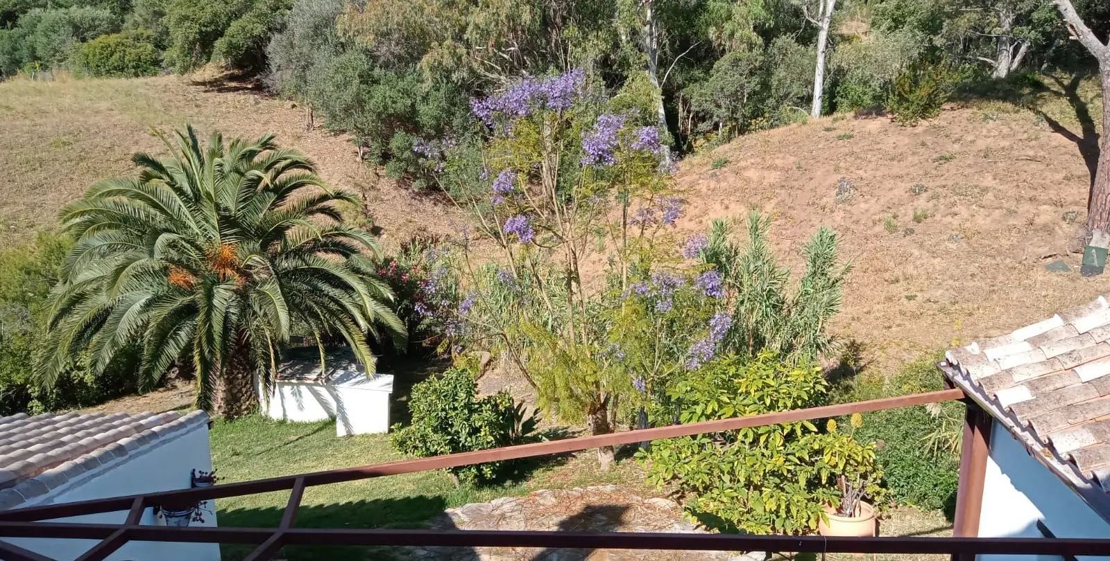 Sale of finca - cortijo in Casares 12