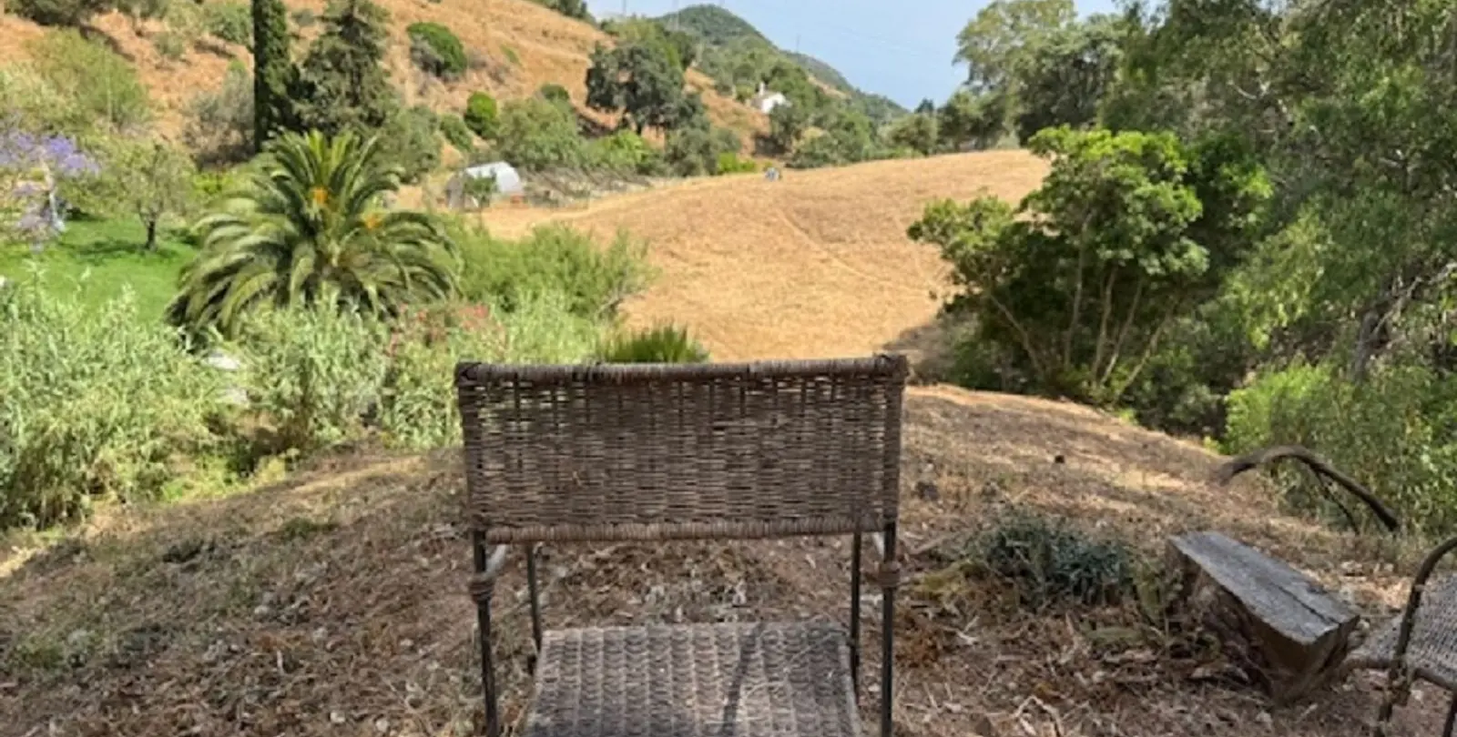 Sale of finca - cortijo in Casares 26