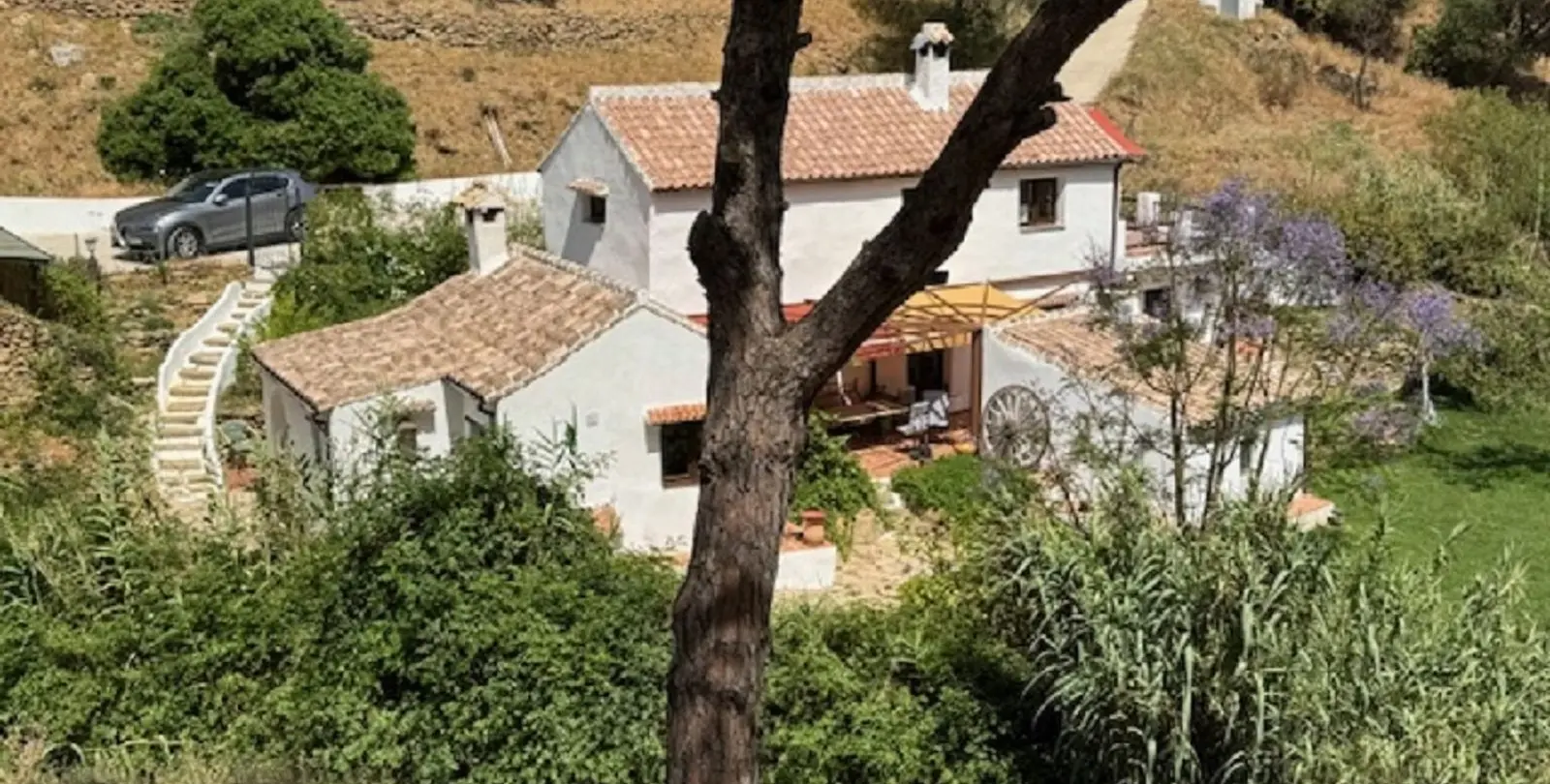 Sale of finca - cortijo in Casares 27