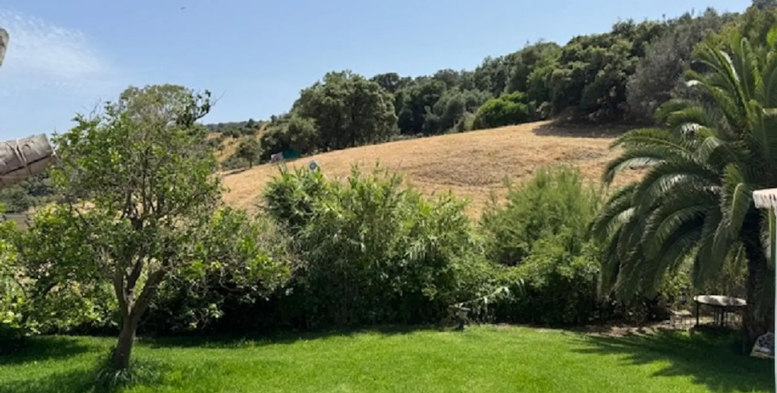 Sale of finca - cortijo in Casares 28
