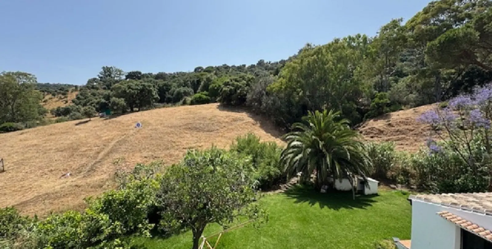Sale of finca - cortijo in Casares 29
