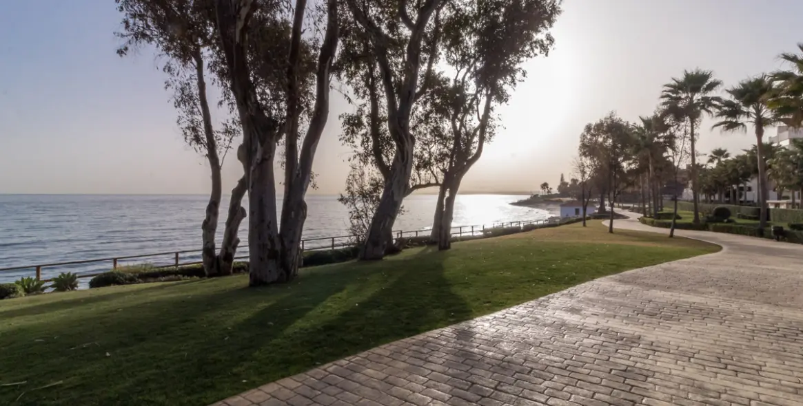 Sale of middle floor apartment in Estepona 45