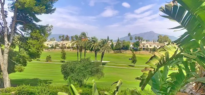 Продажа дома на две семьи в Guadalmina Alta 2