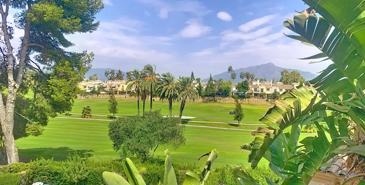 Sale of semi-detached house in Guadalmina Alta 3