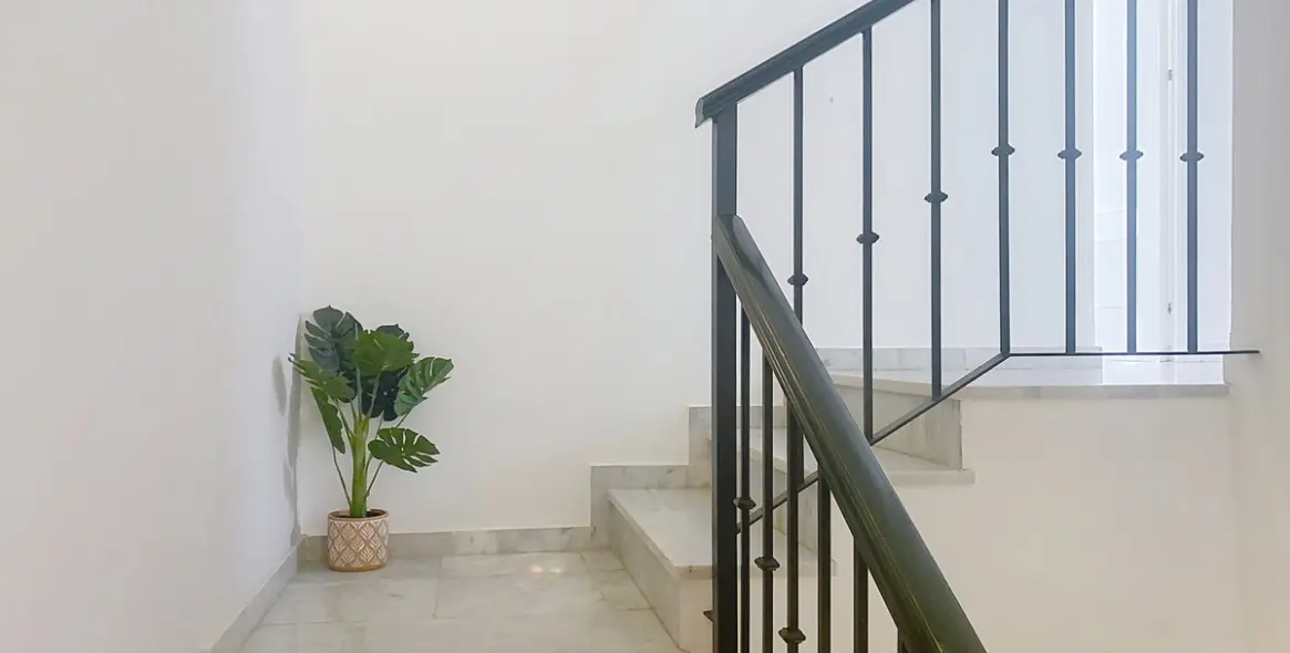 Sale of semi-detached house in Guadalmina Alta 19