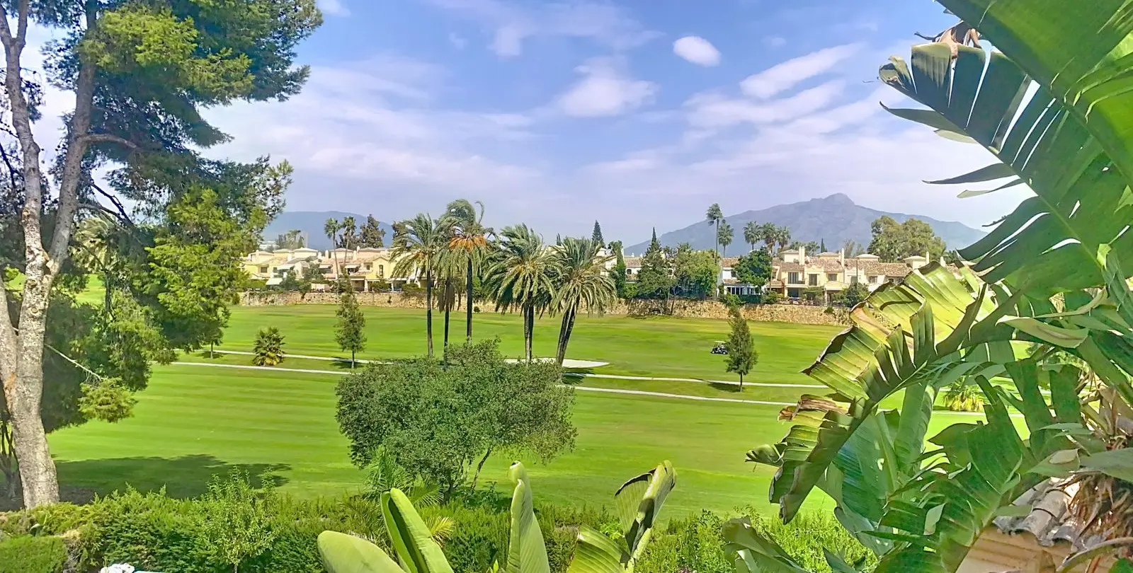 Sale of semi-detached house in Guadalmina Alta 3