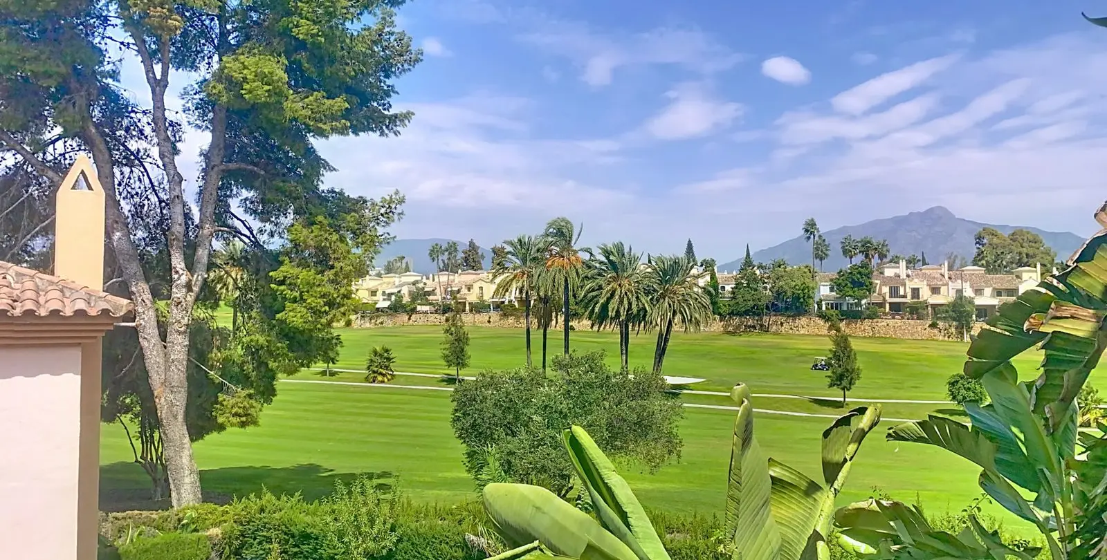 Sale of semi-detached house in Guadalmina Alta 25