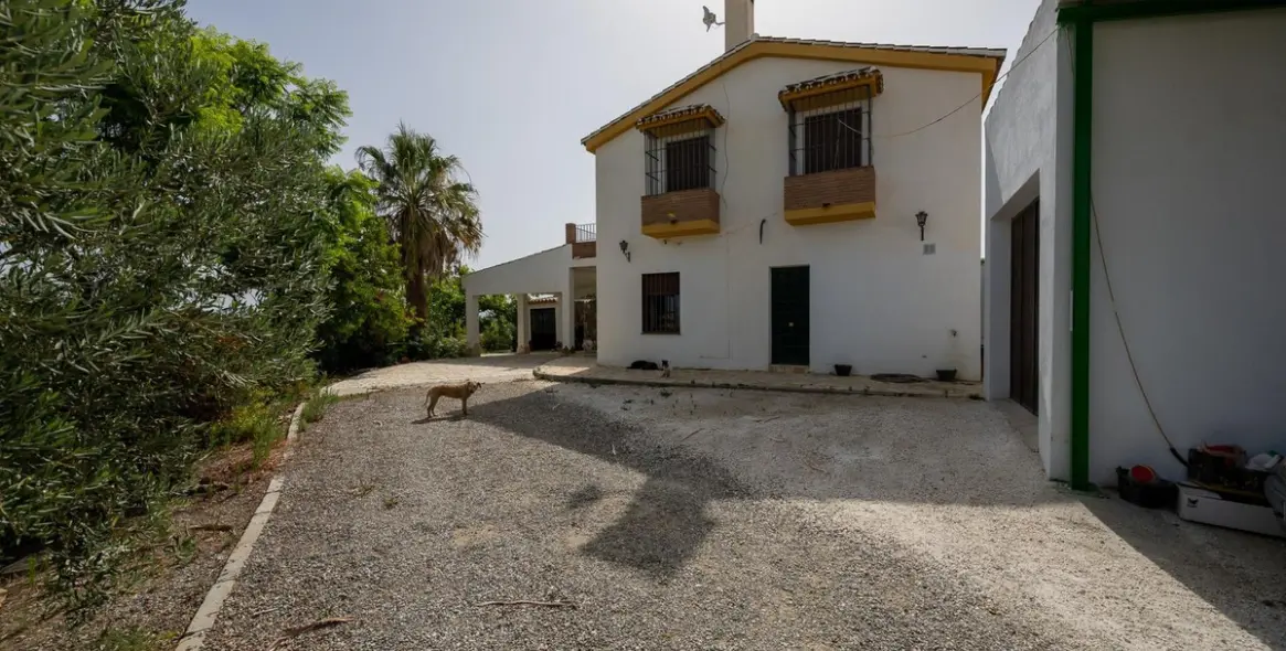 Sale of detached villa in Cártama 12