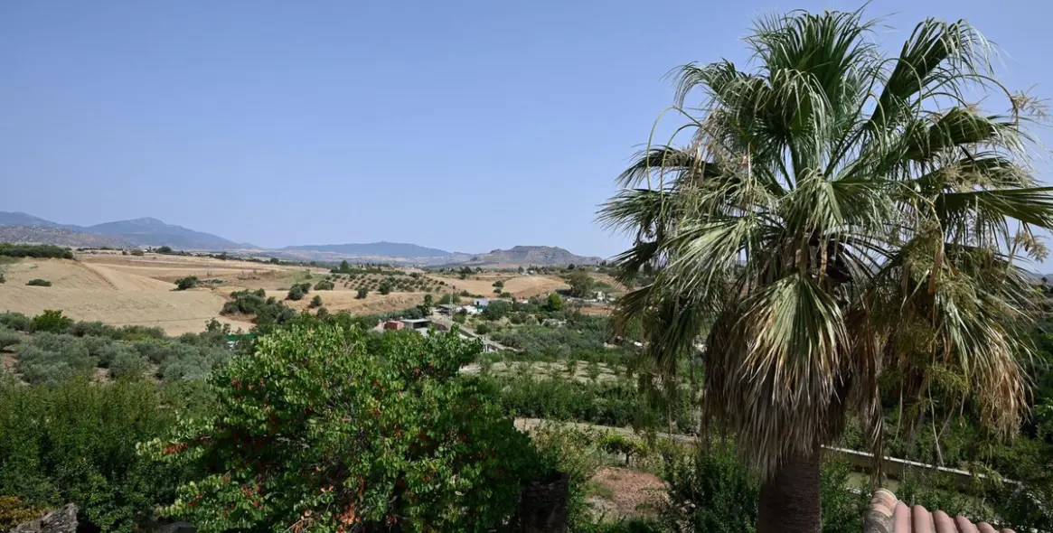 Sale of detached villa in Cártama 15