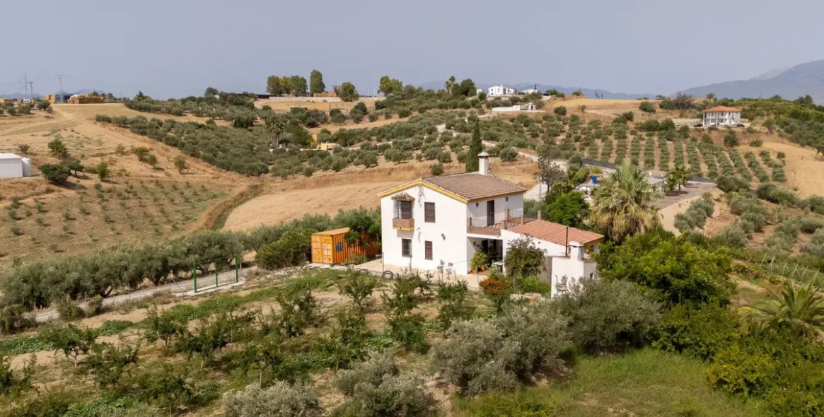 Sale of detached villa in Cártama 19