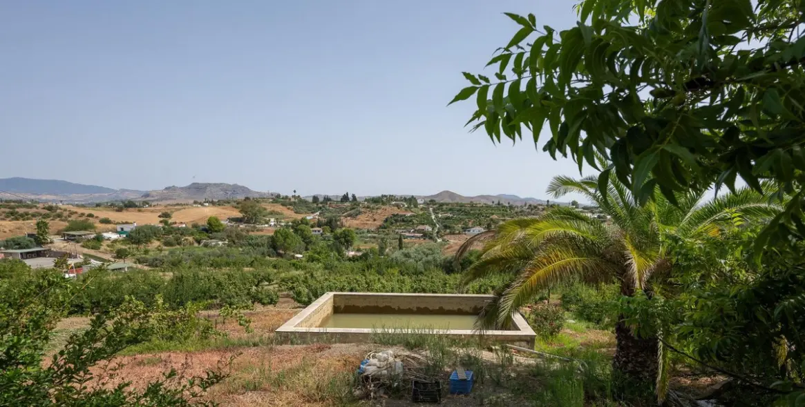 Продажа  отдельно стоящей виллы в Cártama 47