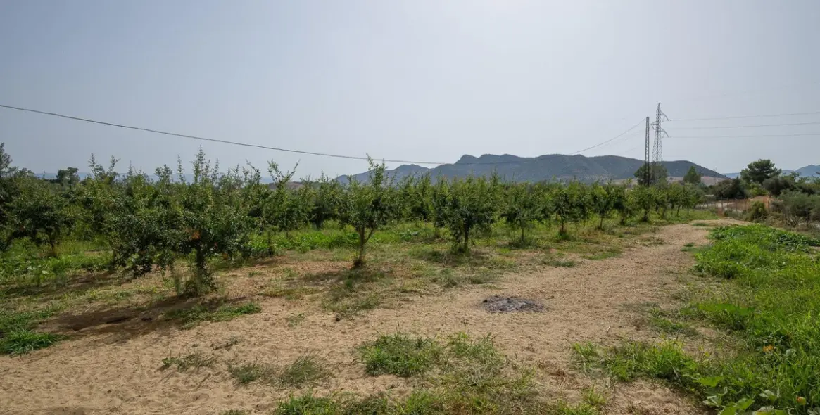 Продажа  отдельно стоящей виллы в Cártama 49