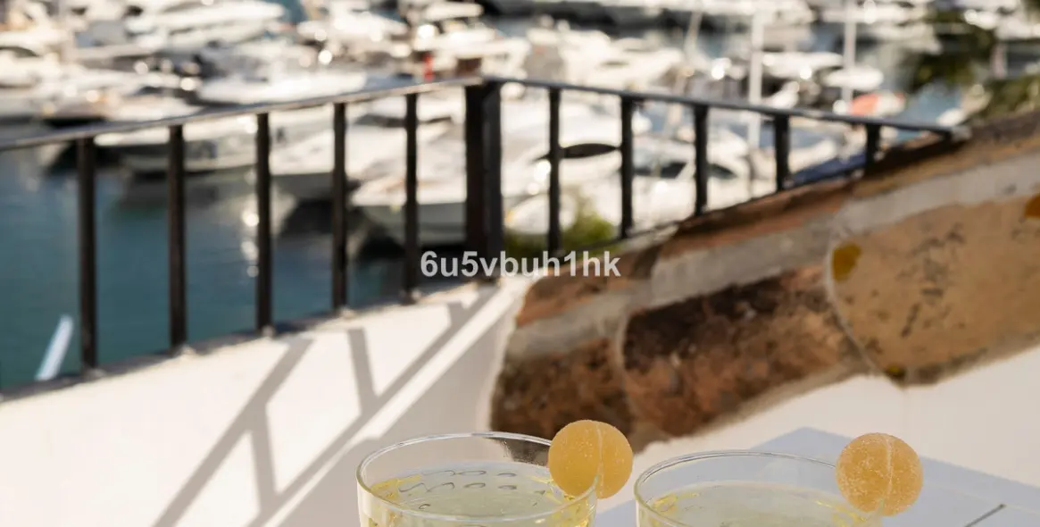 Продажа пентхауса в Puerto Banús 26