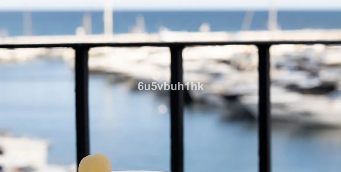 Продажа пентхауса в Puerto Banús 32