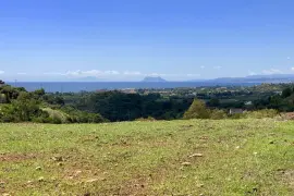 Image 1 thumb