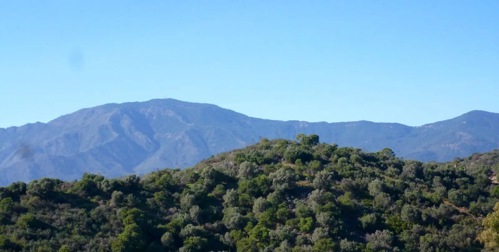 Venta de parcela residencial en Estepona 5