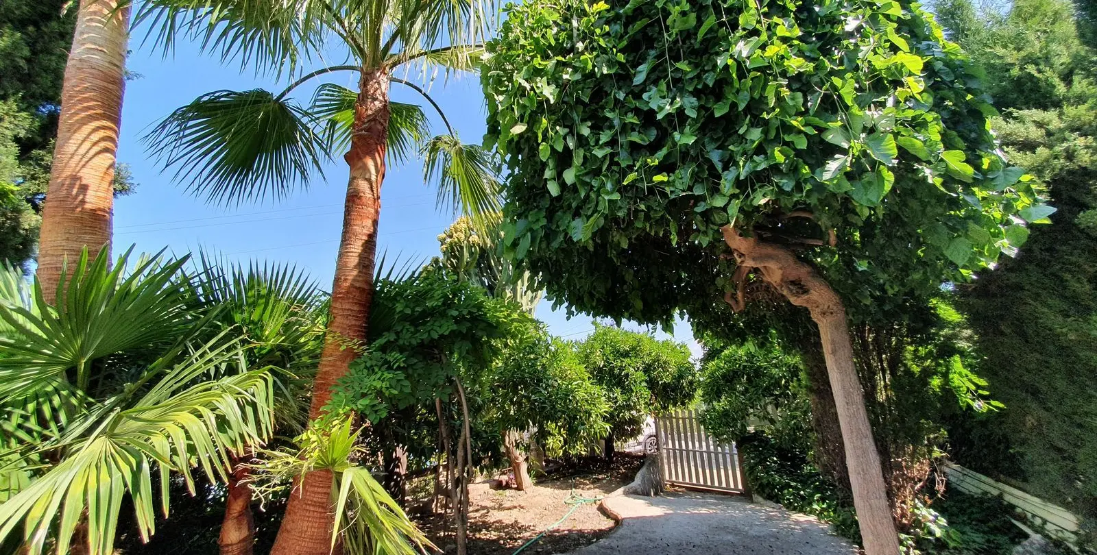 Продажа финки в Alhaurín el Grande 34