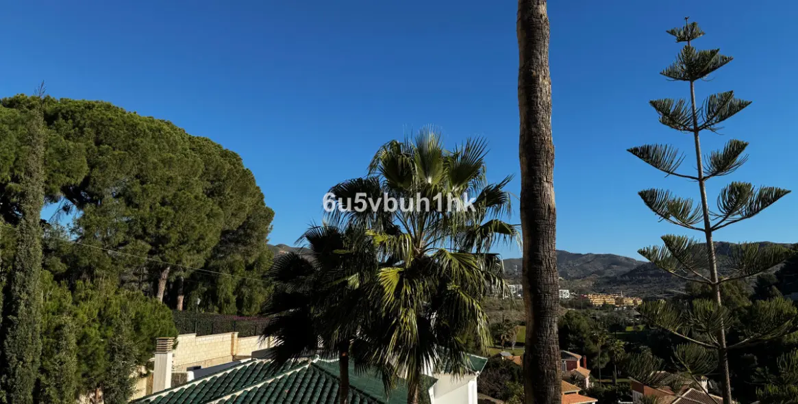 Sale of detached villa in El Candado 10