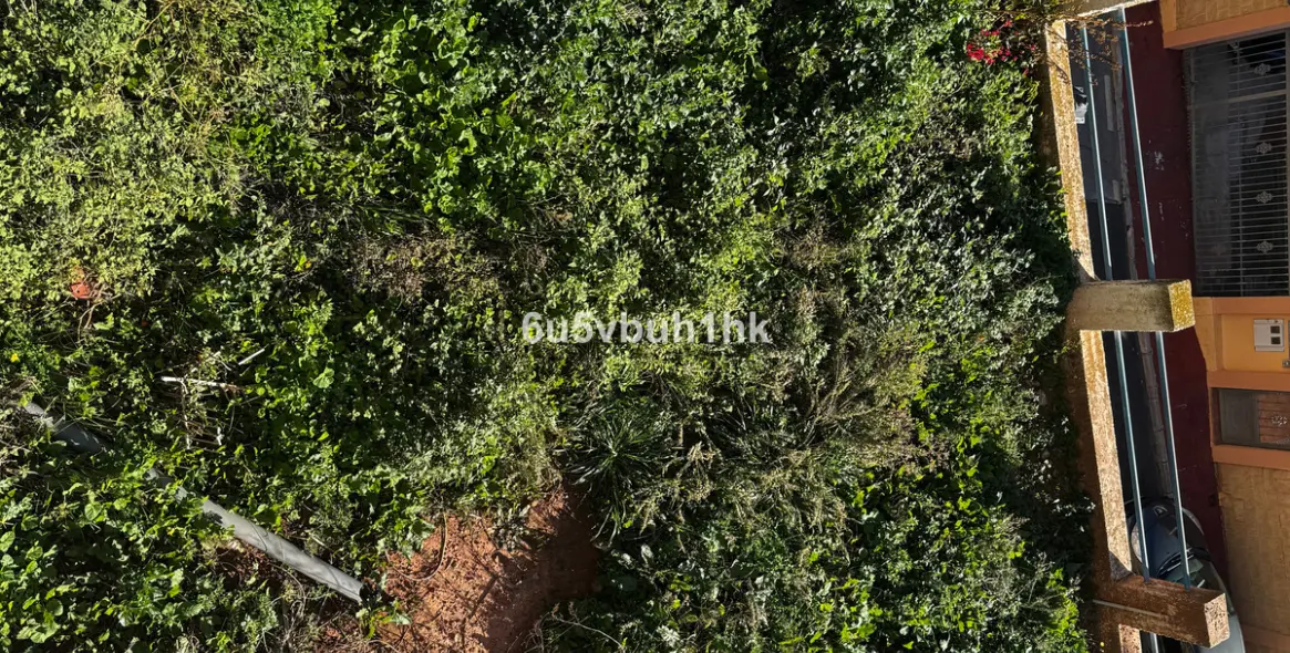 Sale of detached villa in El Candado 14