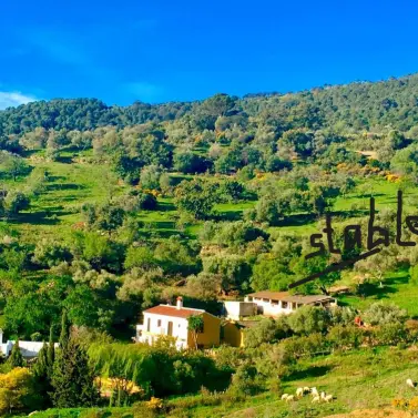 Продажа финки в Gaucín