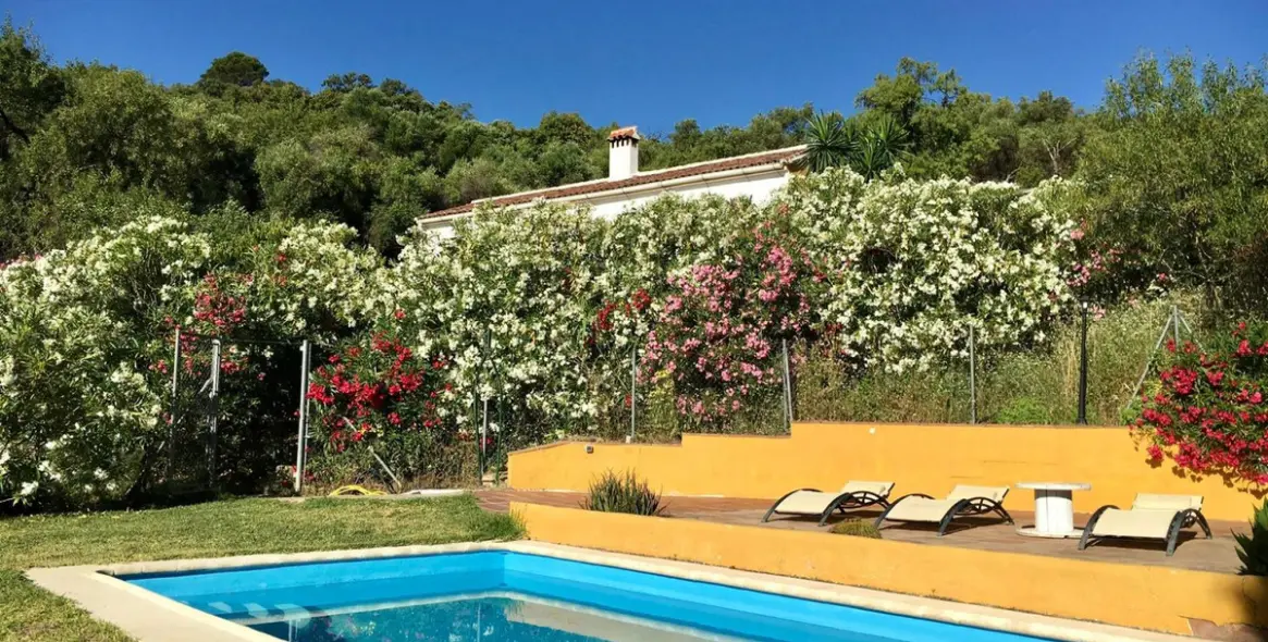 Venta de finca - cortijo en Gaucín 3