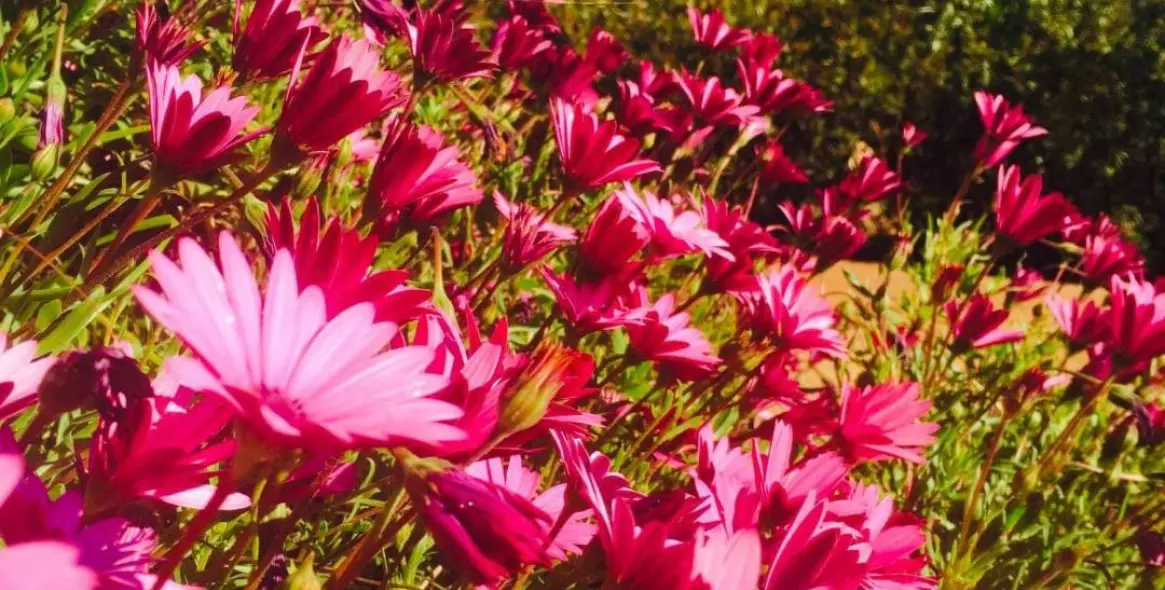 Продажа финки в Gaucín 34