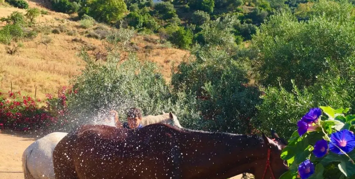 Продажа финки в Gaucín 43