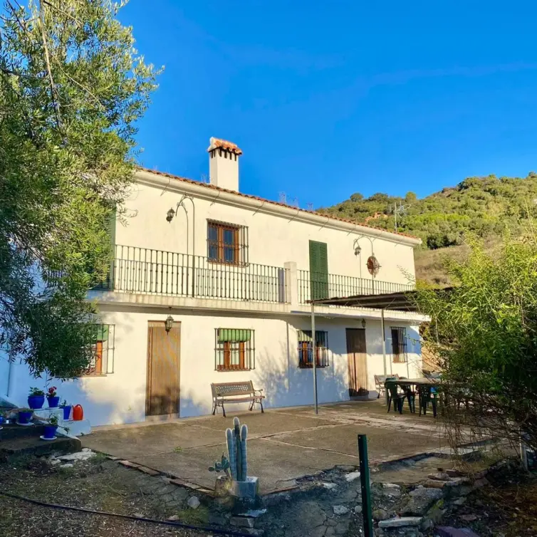 Sale of finca - cortijo in Gaucín
