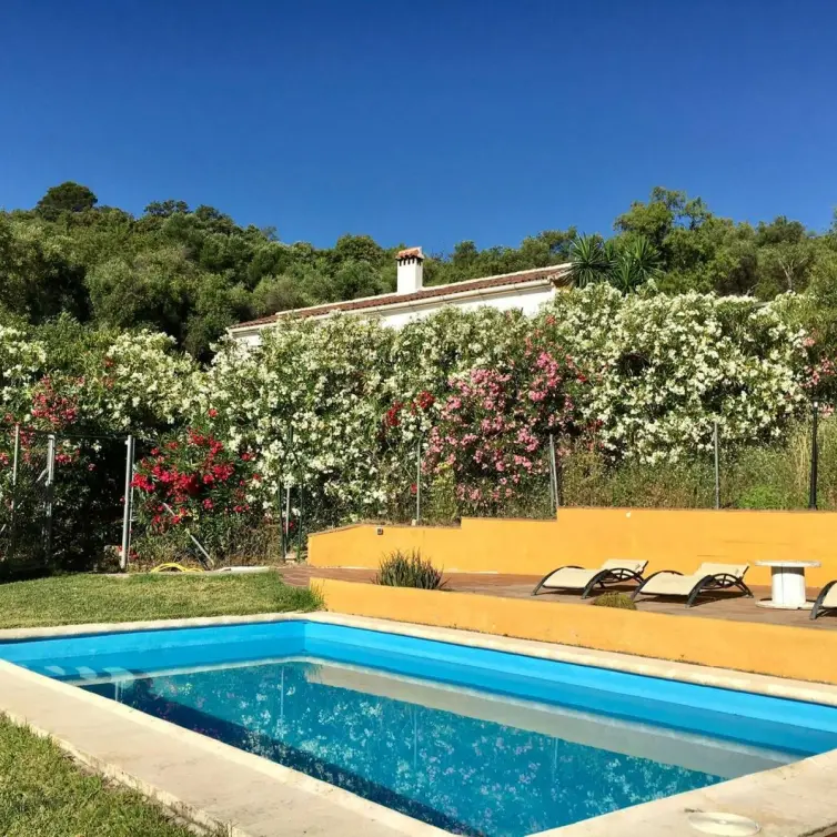 Sale of finca - cortijo in Gaucín