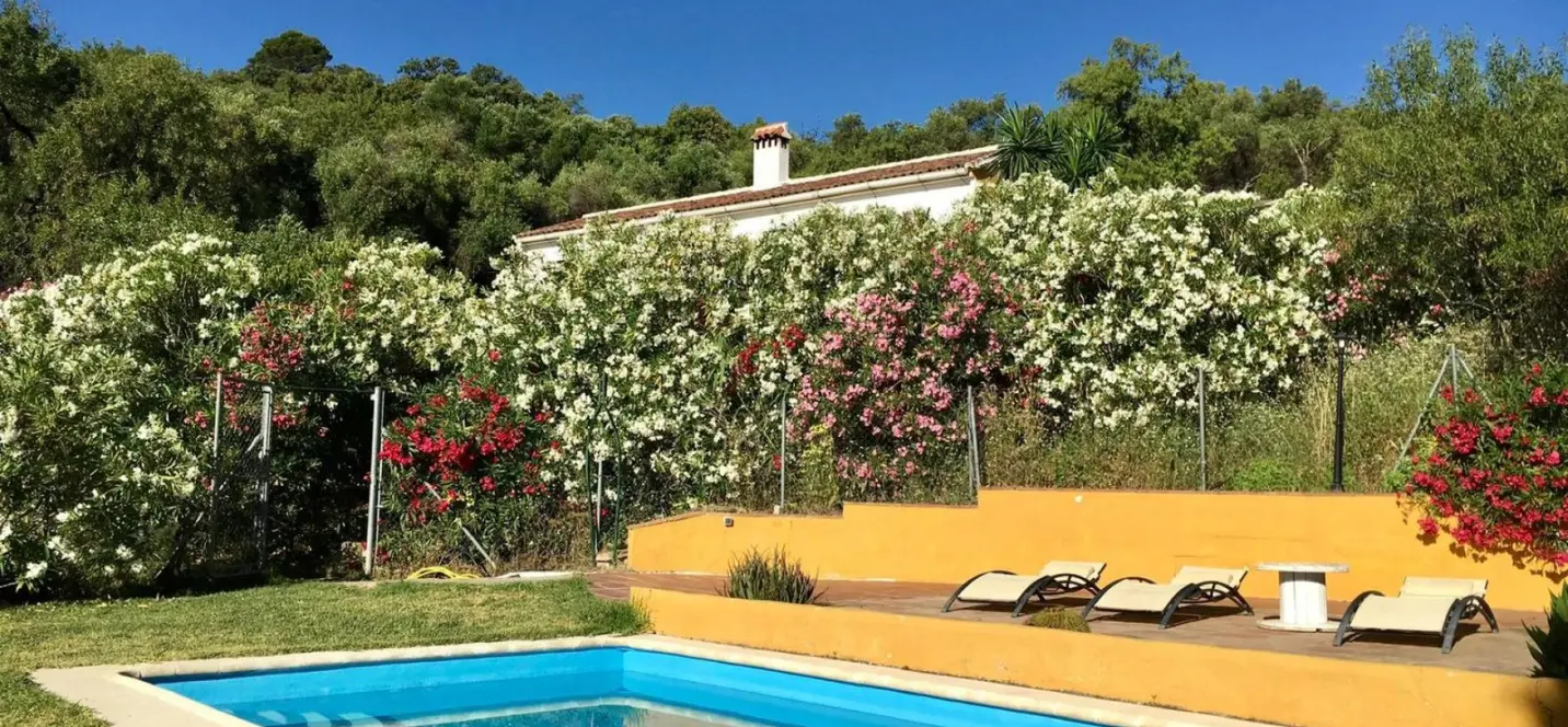 Sale of finca - cortijo in Gaucín 2