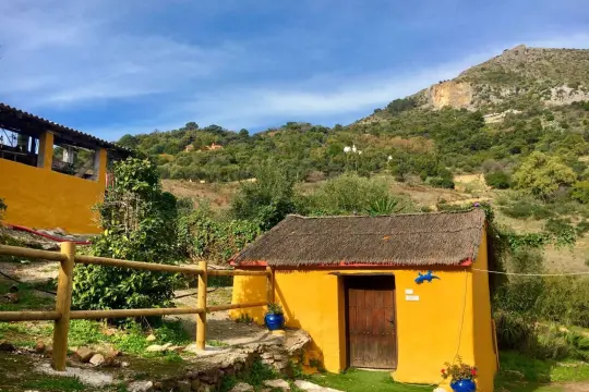 Image 36 thumb