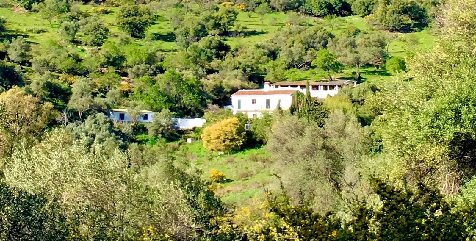 Venta de finca - cortijo en Gaucín 24