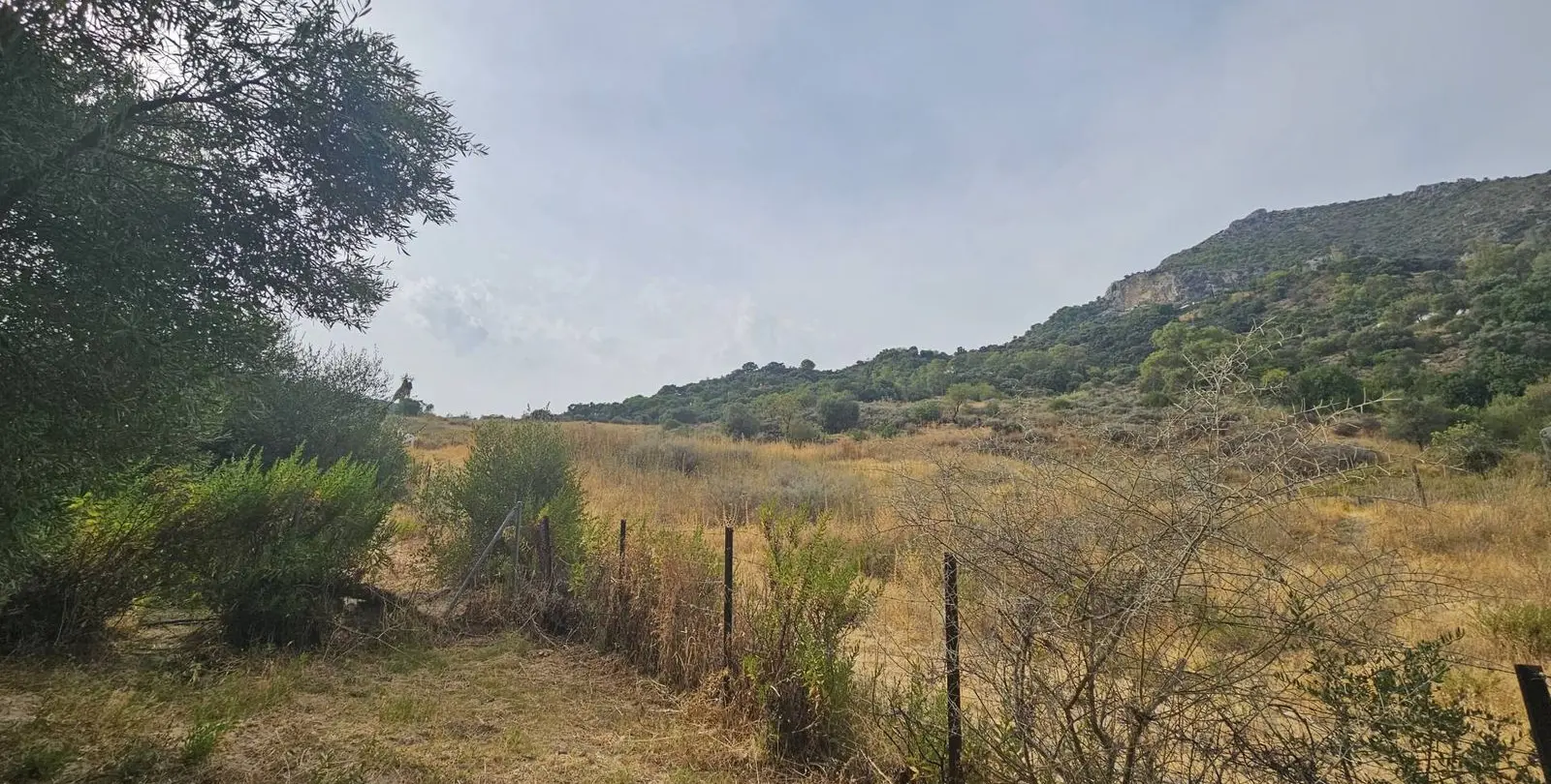 Venta de finca - cortijo en Gaucín 27