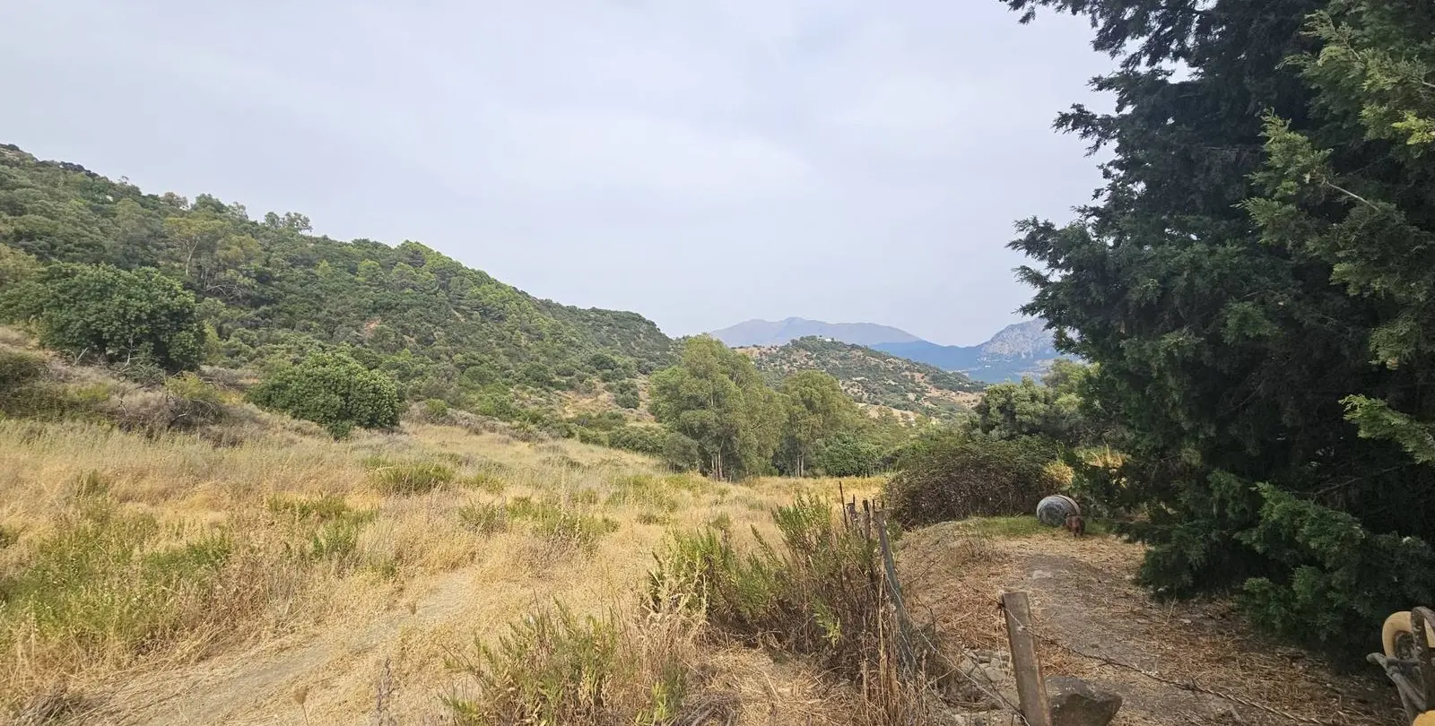Venta de finca - cortijo en Gaucín 31